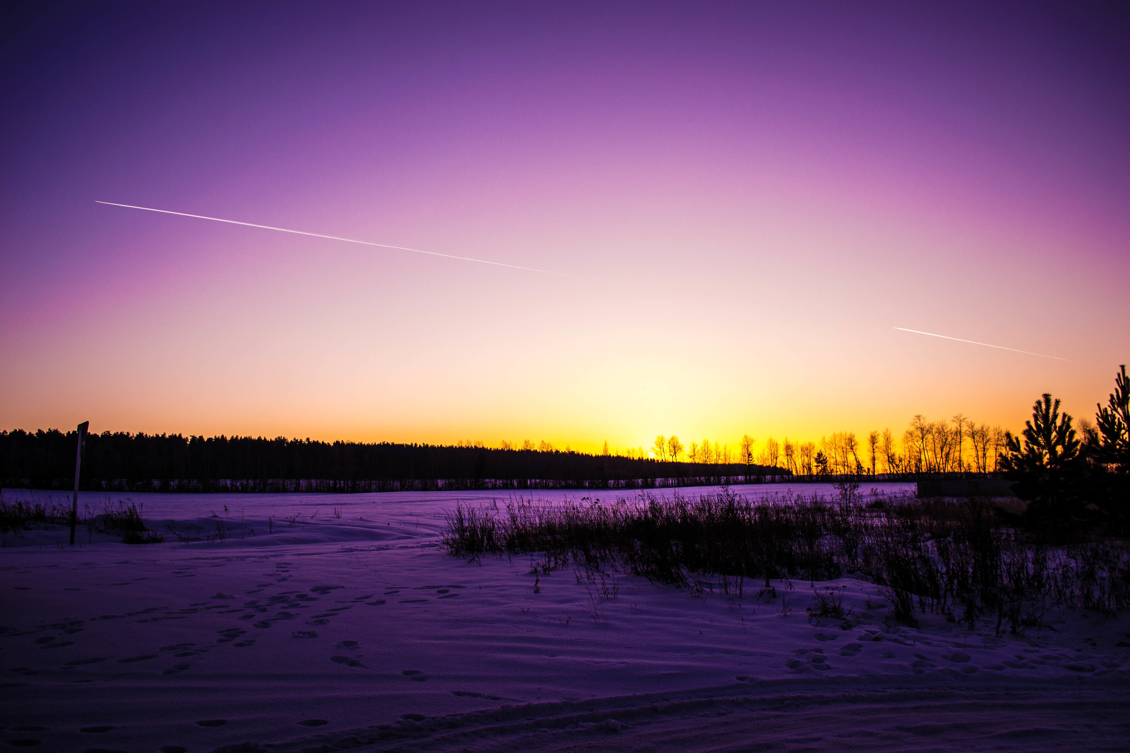 forest, Snow, Nature, Beauty, Winter Wallpaper