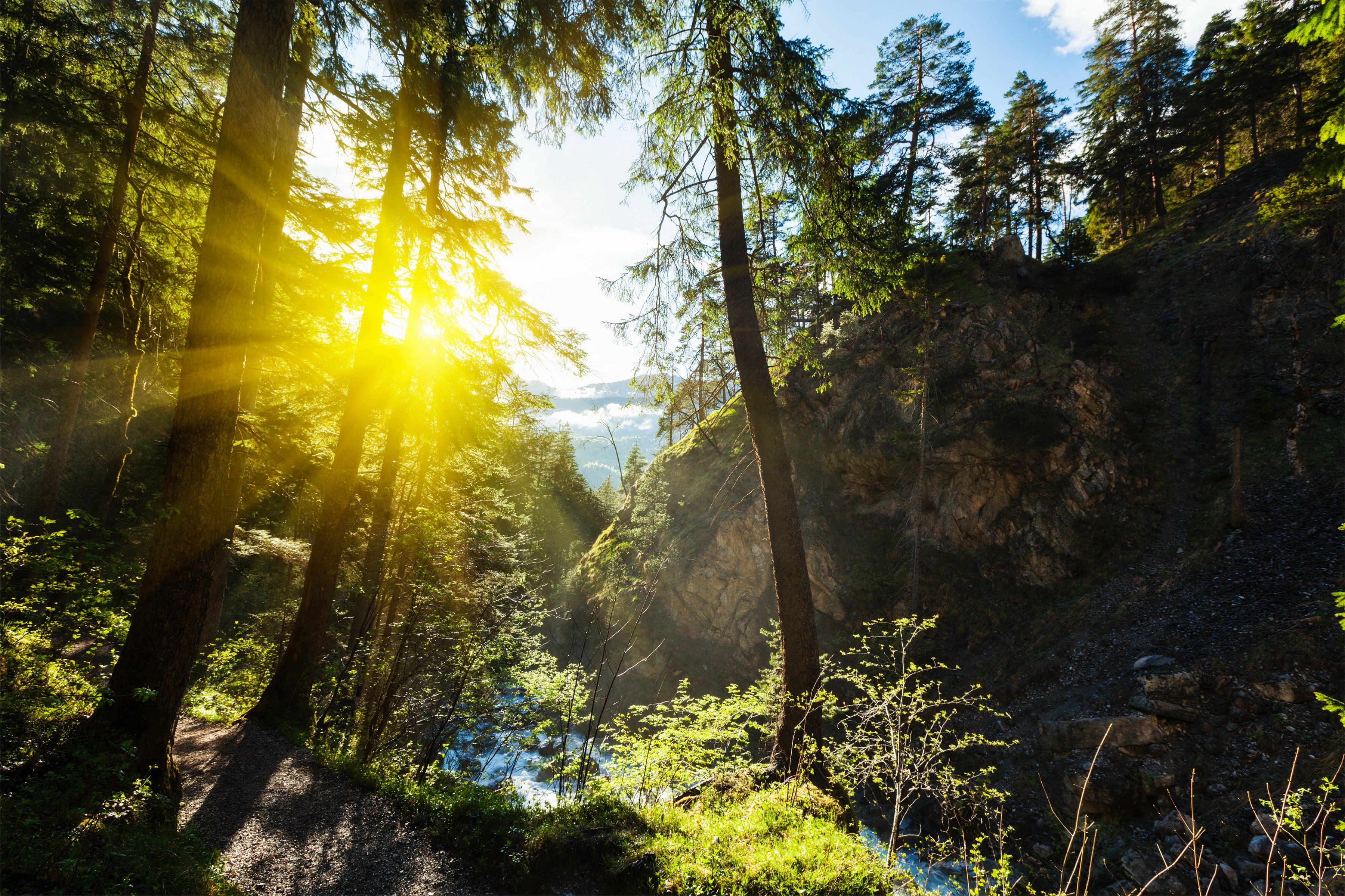 forests, Trees, Rays, Of, Light, Nature Wallpaper