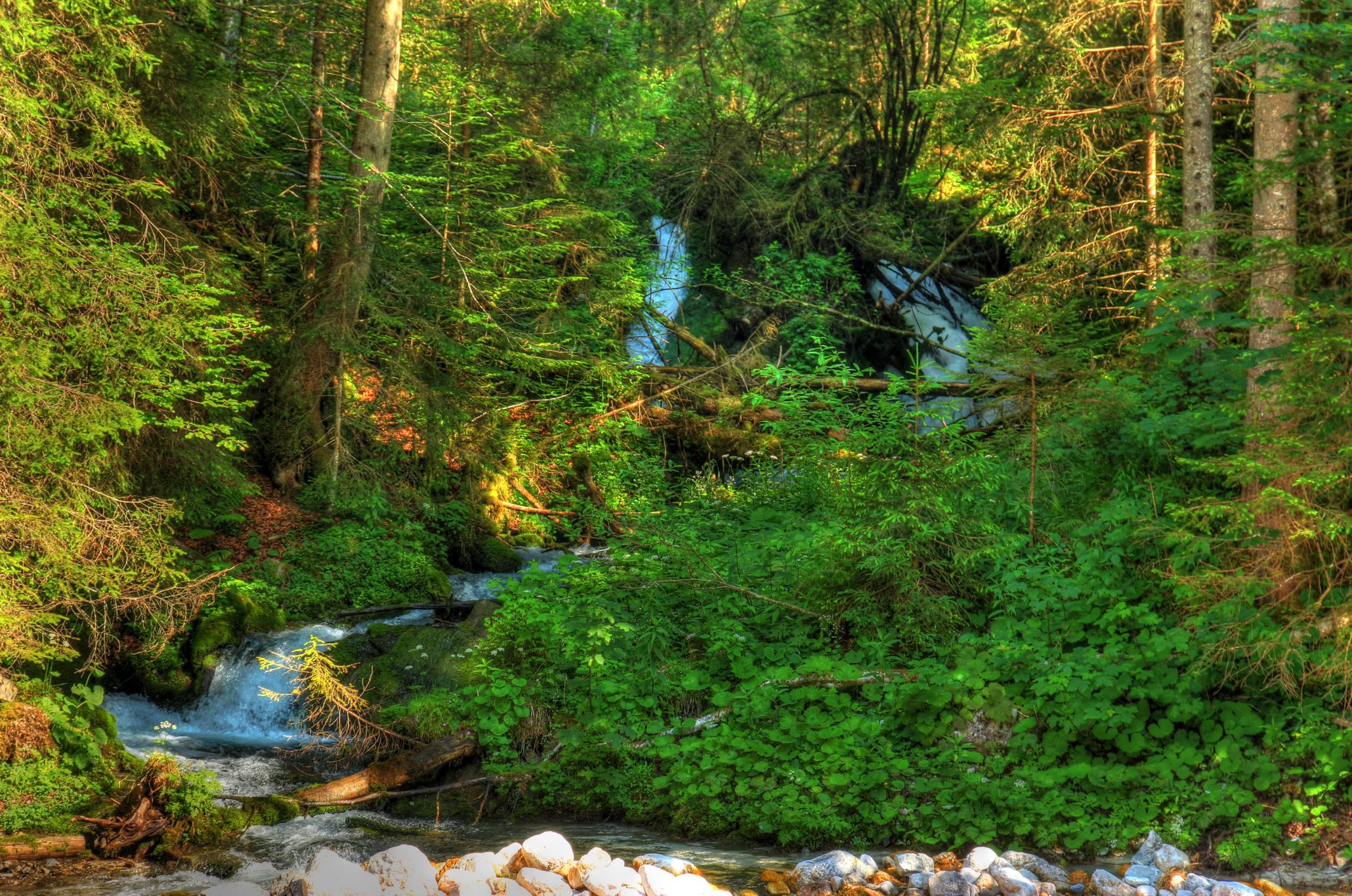 germany, Forests, Bavaria, Stream, Nature Wallpaper