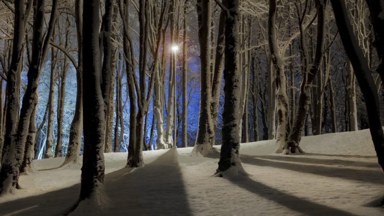 night, Winter, Trees, Forest HD Wallpaper Desktop Background