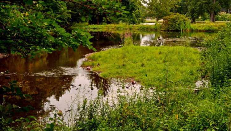 parks, Pond, Grass, Nature HD Wallpaper Desktop Background