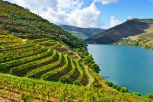 portugal, Rivers, Mountains, Fields, Douro, Nature