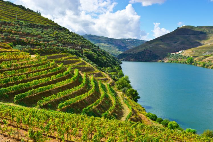 portugal, Rivers, Mountains, Fields, Douro, Nature HD Wallpaper Desktop Background