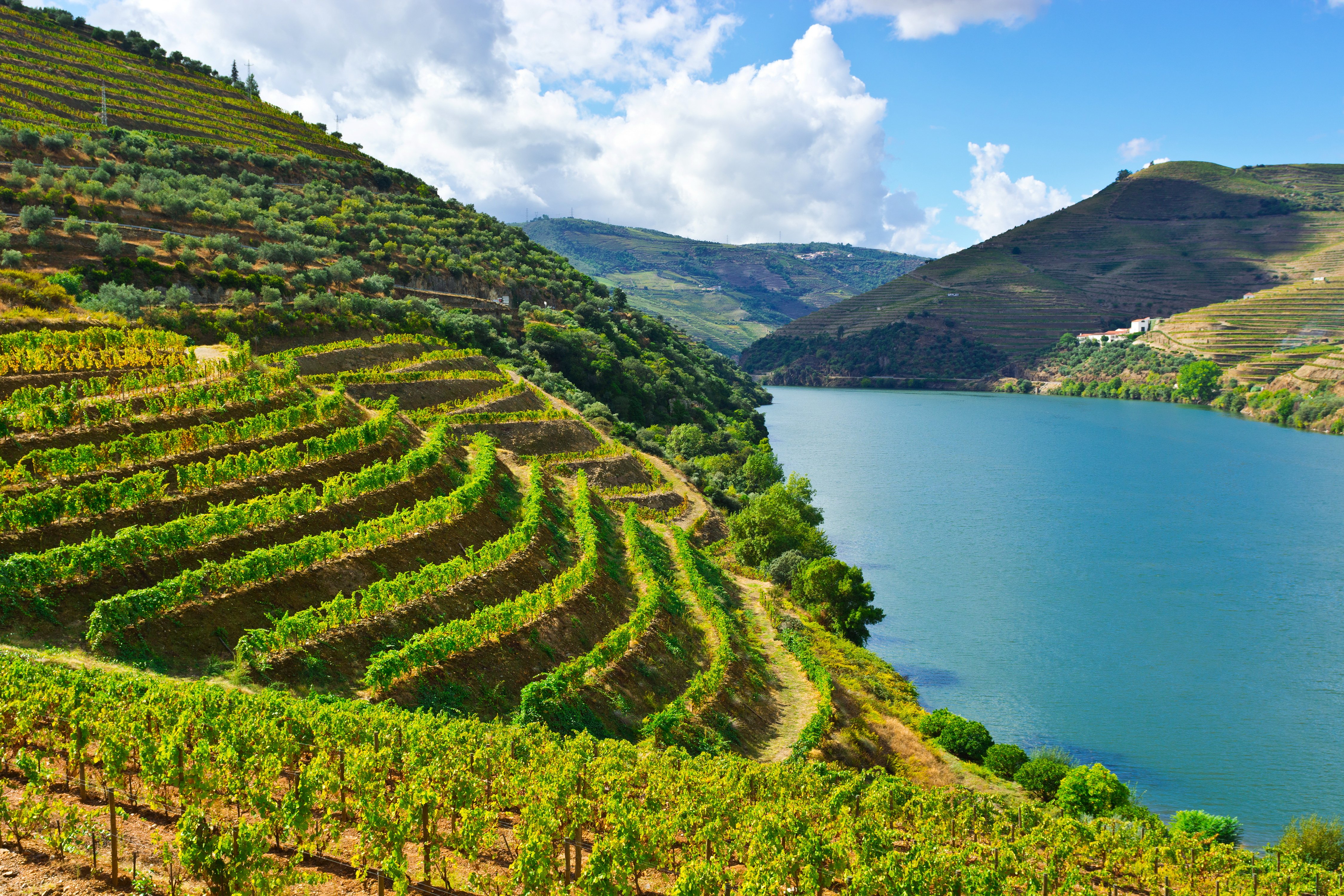 portugal, Rivers, Mountains, Fields, Douro, Nature Wallpaper