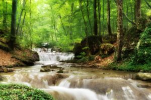 rivers, Waterfalls, Forests, Trees, Nature