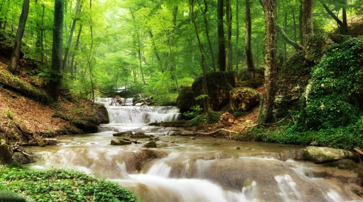 rivers, Waterfalls, Forests, Trees, Nature HD Wallpaper Desktop Background