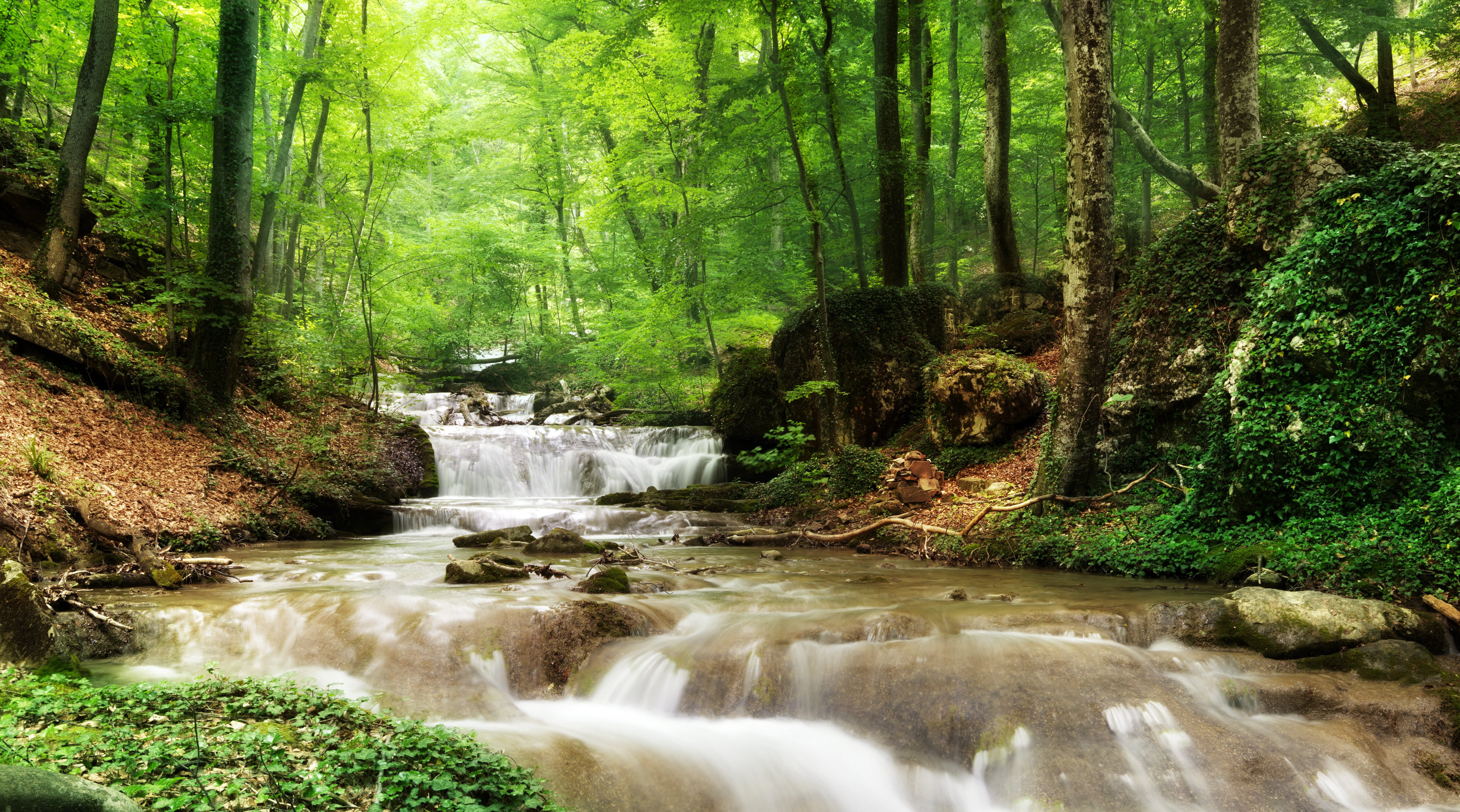rivers, Waterfalls, Forests, Trees, Nature Wallpaper