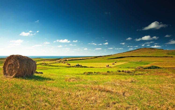 scenery, Fields, Hay, Nature HD Wallpaper Desktop Background