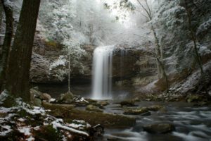 stream, Snow, Forest, River, Winter, Waterfall