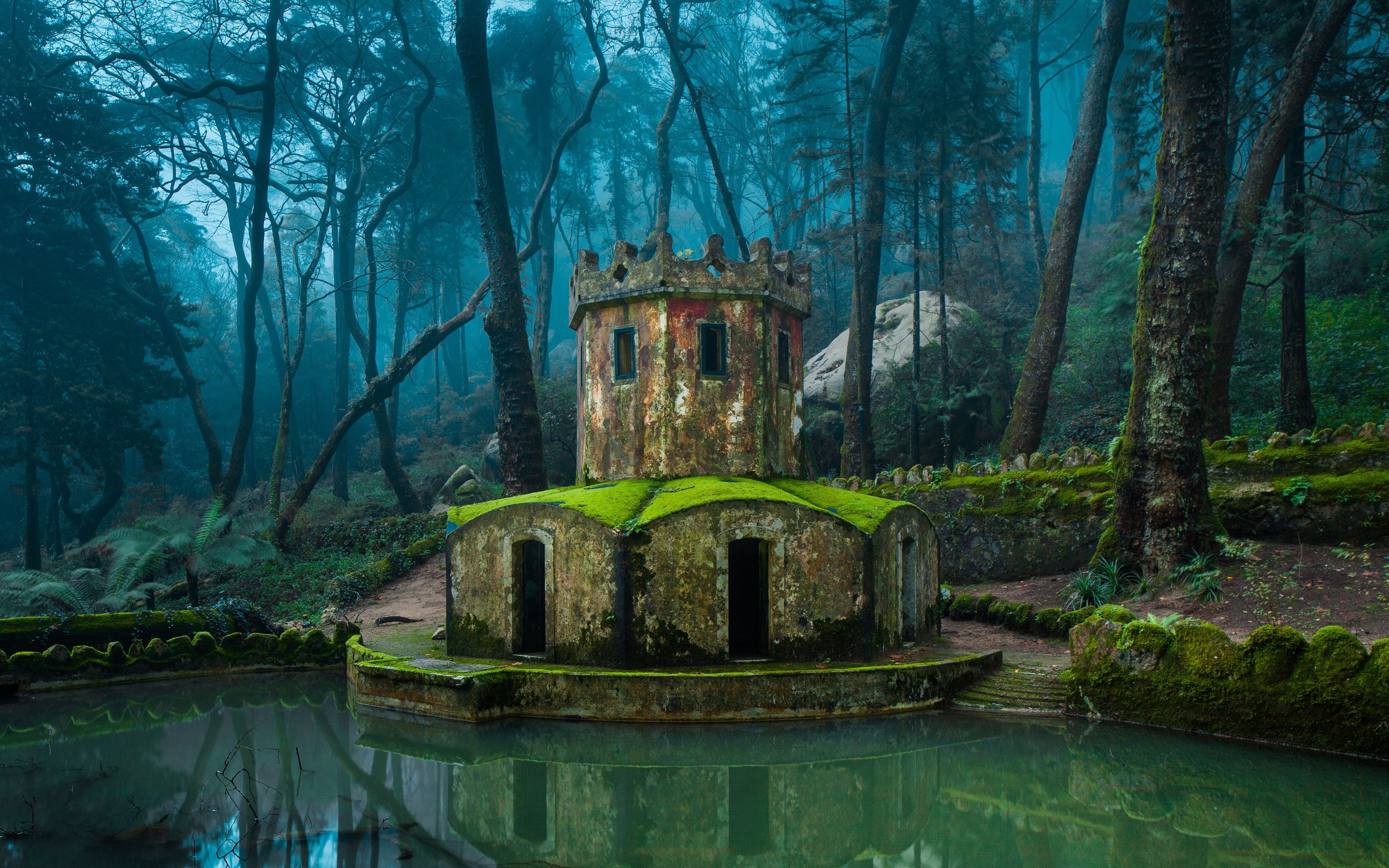 sintra, Portugal, Forest, Trees, Mist, Water, Nature, Landscape Wallpaper
