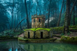 sintra, Portugal, Forest, Trees, Mist, Water, Nature, Landscape