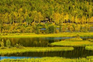 trees, Forest, Norway, House, Lake, Autumn