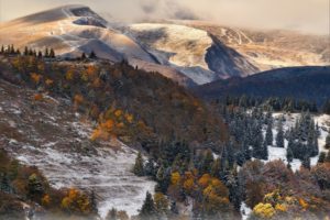 trees, Clouds, Mountains, Forest, Snow, Autumn