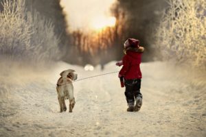 winter, Road, Snow, Nature, Child, Dog