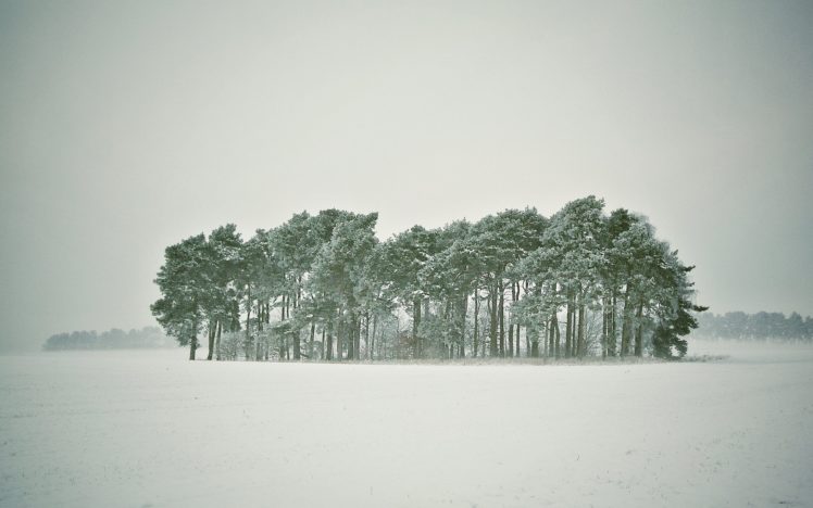 blizzard, Snow, Winter, Forest, Trees HD Wallpaper Desktop Background