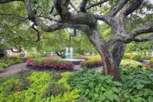 garden, Park, Fountain, Trees, Landscape