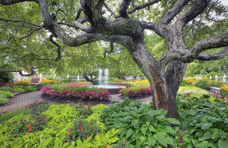 garden, Park, Fountain, Trees, Landscape HD Wallpaper Desktop Background