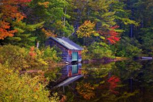 lake, House, Forest, Trees, Landscape, Autumn