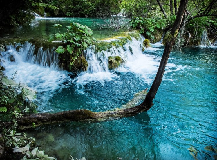 trees, River, Waterfall, Nature HD Wallpaper Desktop Background