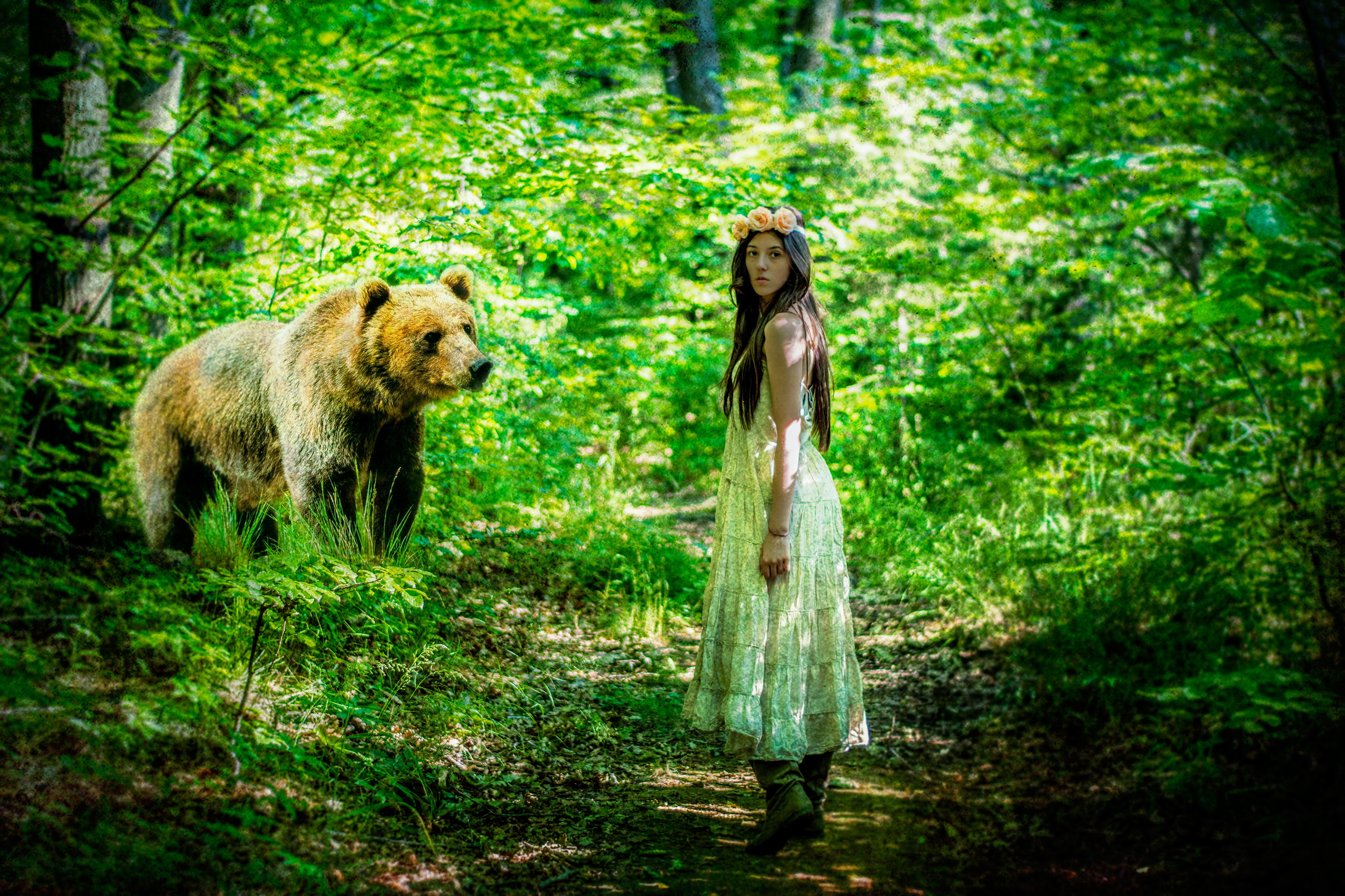 girl, Bear, Fantasy, Situation, Forest Wallpaper