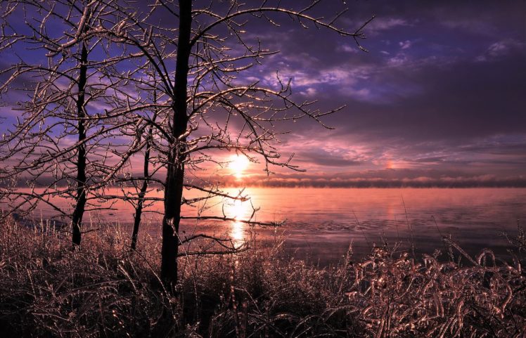 lake, Trees, Grass, Ice, Winter HD Wallpaper Desktop Background