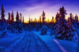 sunset, Winter, Trees, Road