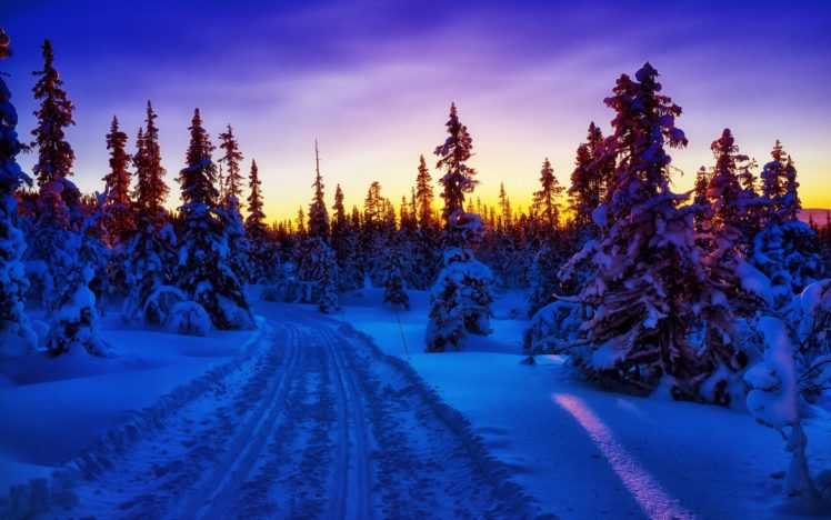 sunset, Winter, Trees, Road HD Wallpaper Desktop Background