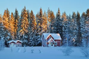 trees, Houses, Snow, Winter