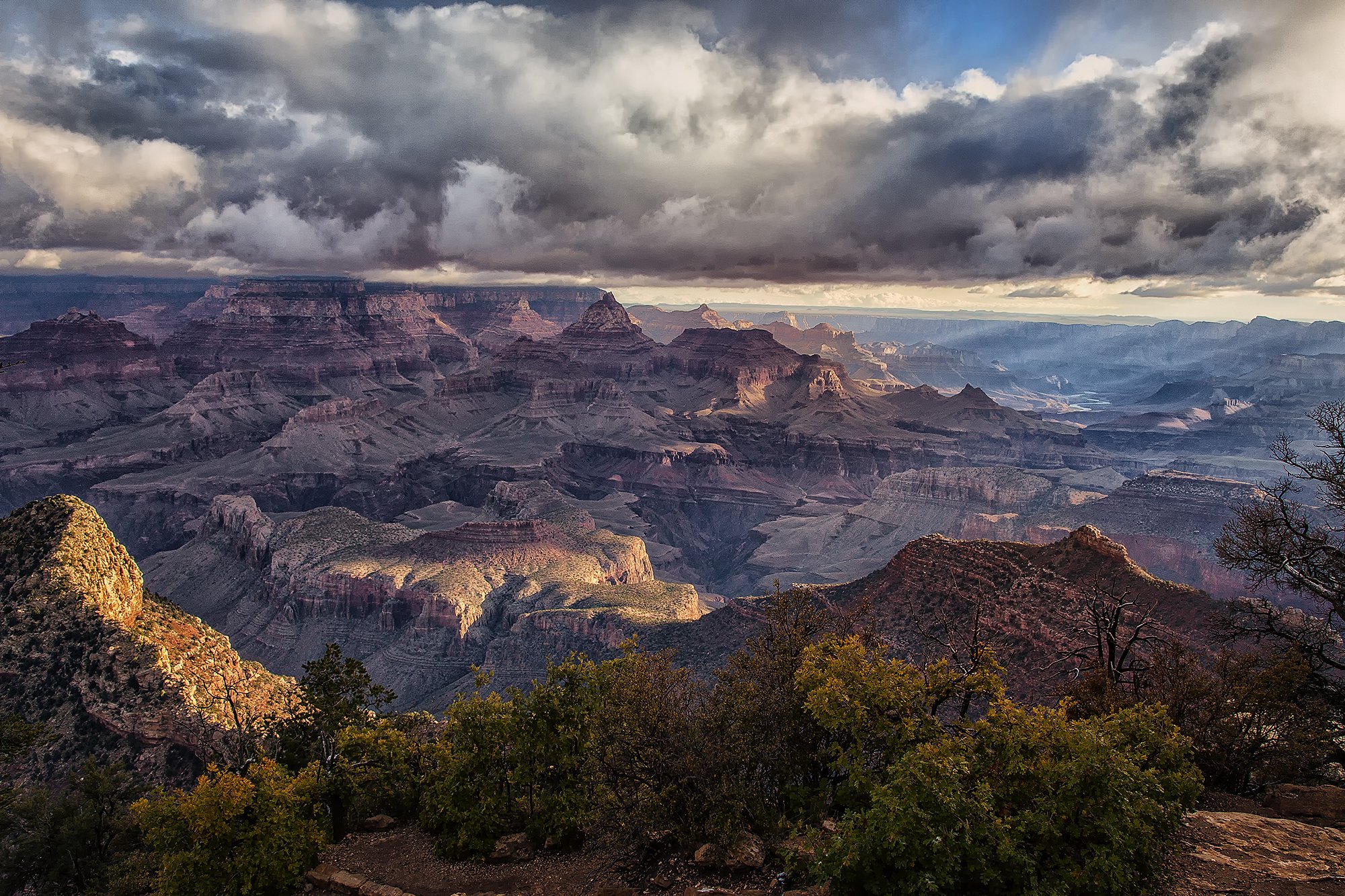 Usa Arizona Colorado Plateau Grand Canyon National Park