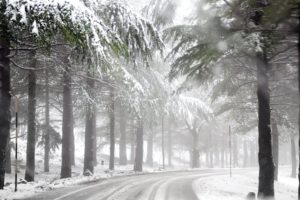 winter, Road, Forest, Mist