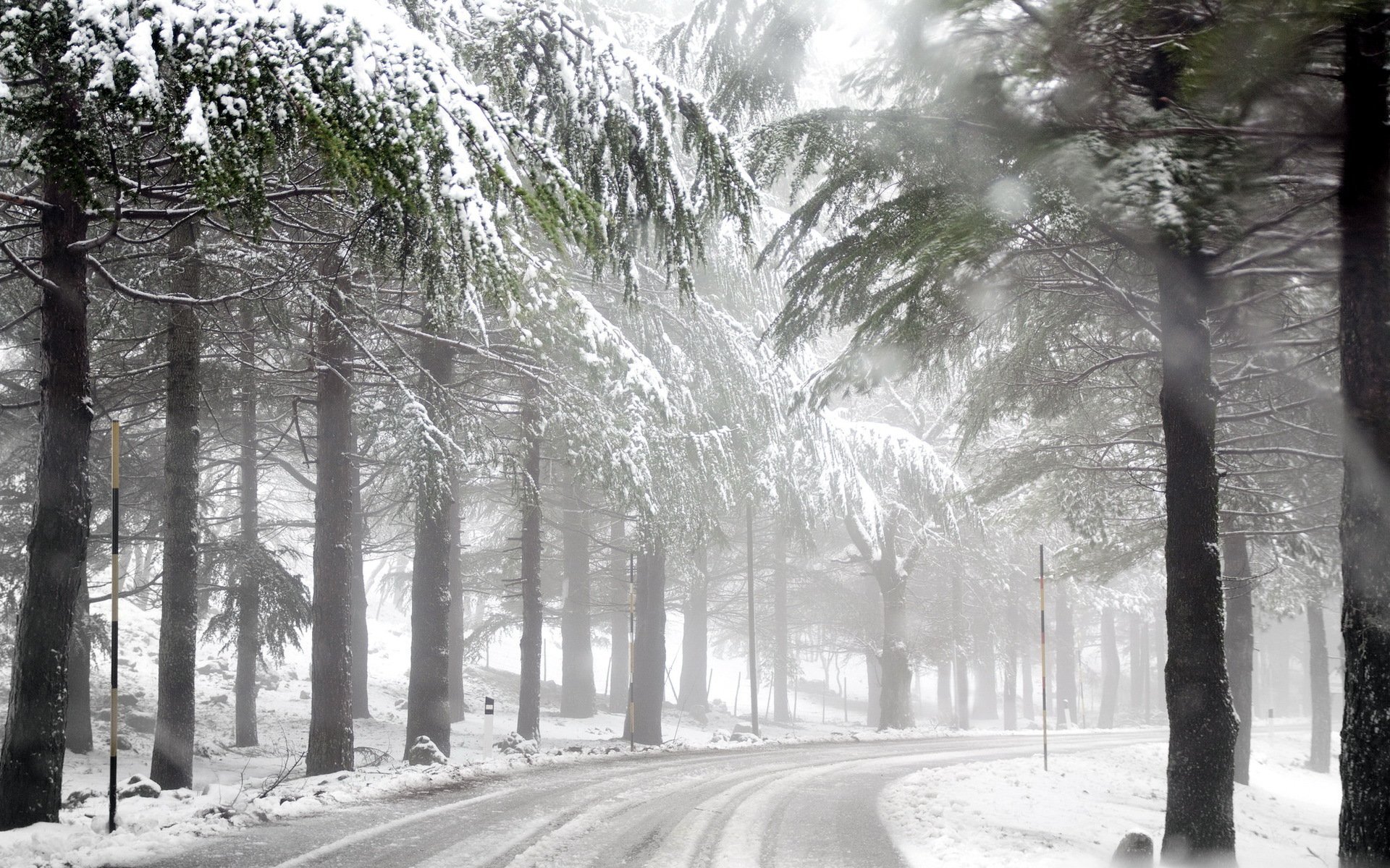 winter, Road, Forest, Mist Wallpaper