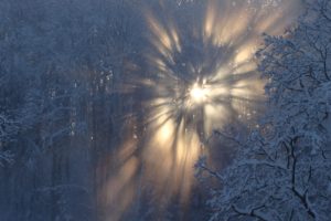 winter, Snow, Sun, Latvia