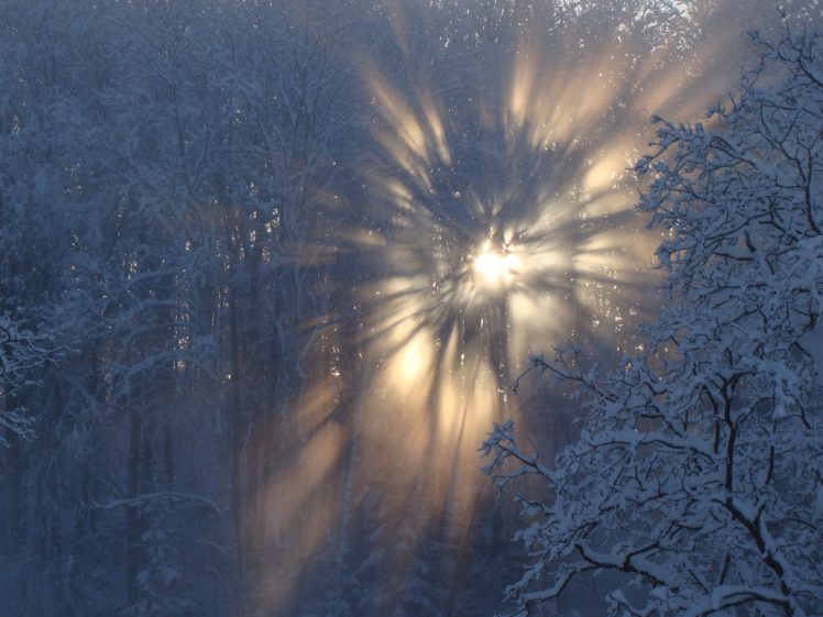 winter, Snow, Sun, Latvia HD Wallpaper Desktop Background