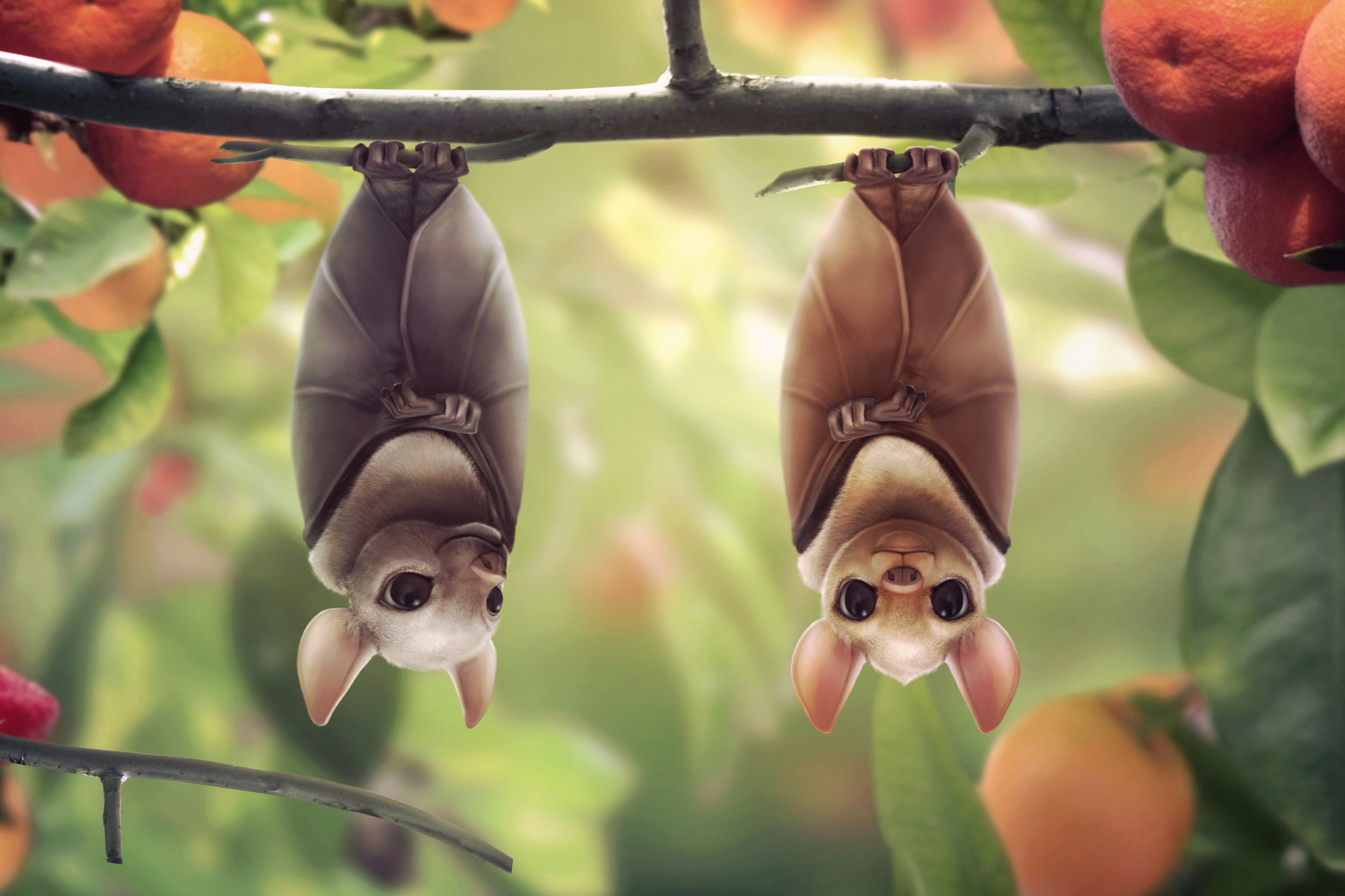 animals, Bats, Cartoon, Face, Eyes, Pov, Animals Wallpapers HD / Desktop  and Mobile Backgrounds