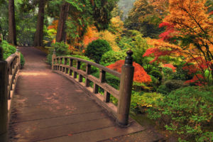 architecture, Bridges, Garden, Nature, Landscapes, Stream, Plants, Bush, Trees, Autumn, Fall, Maple, Forest, Color, Leaves