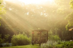bench, Garden, Rivers, Stream, Trees, Forest, Sunlight, Beams, Rays, Flowers, Landscapes