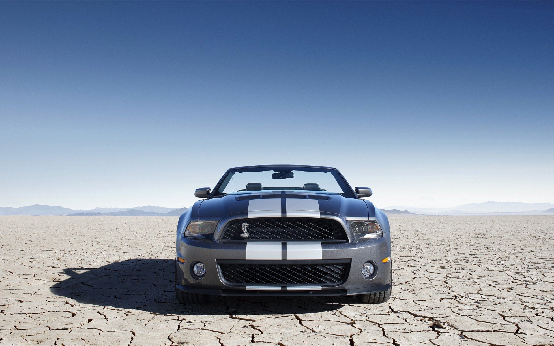 ford, Mustang, Shalby, Gt500 Wallpaper