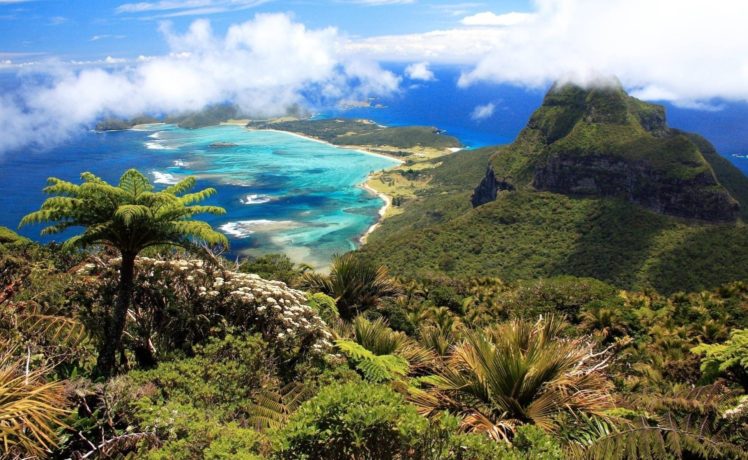 tropics, Coast, Ocean, Mountain, Clouds, Palm, Trees, Panorama HD Wallpaper Desktop Background