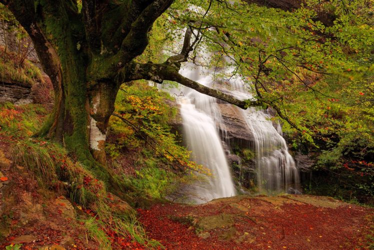 rocks, Fall, Waterfall, Stream, Forest, Autumn HD Wallpaper Desktop Background