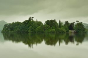 water, Forest, Trees, Overcast, Lake