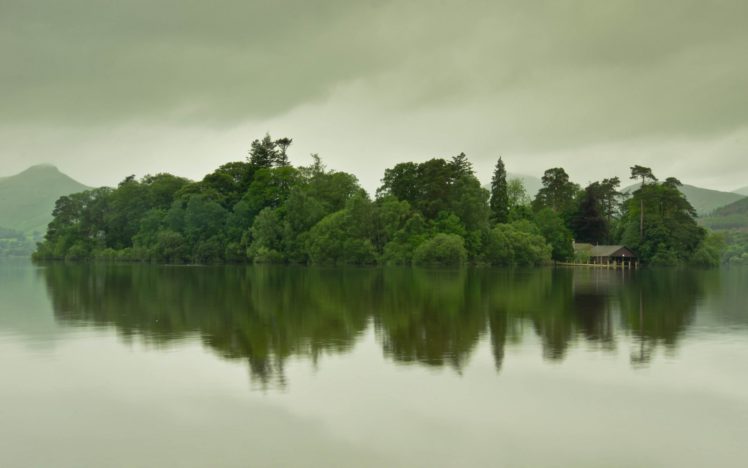 water, Forest, Trees, Overcast, Lake HD Wallpaper Desktop Background