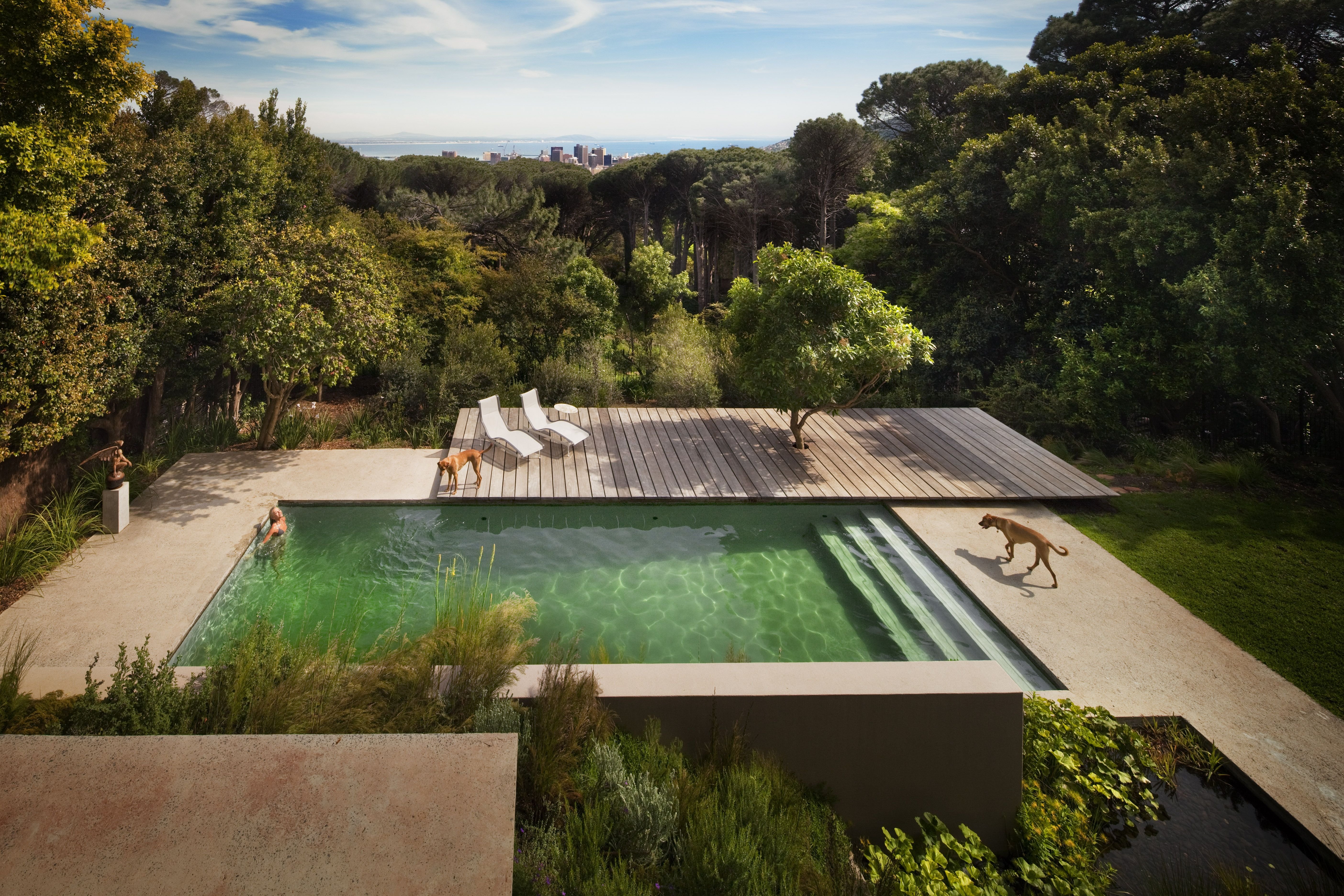 swimming, Pool, Water, Design Wallpaper