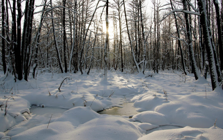 stream, Nature, Landscapes, Winter, Snow, Trees, Forest, Woods, Sunsrise, Sunset, Sunlight HD Wallpaper Desktop Background