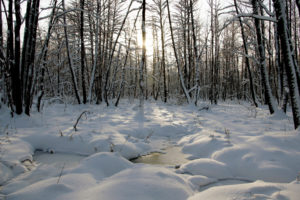 stream, Nature, Landscapes, Winter, Snow, Trees, Forest, Woods, Sunsrise, Sunset, Sunlight
