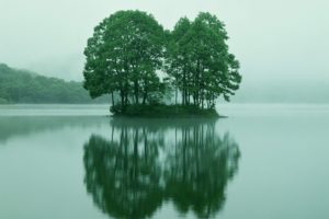 trees, Lake, Reflection, Nature, Landscapes, Water, Islands, Fog