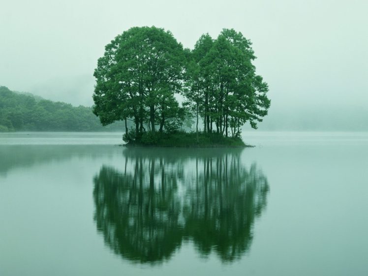 trees, Lake, Reflection, Nature, Landscapes, Water, Islands, Fog HD Wallpaper Desktop Background