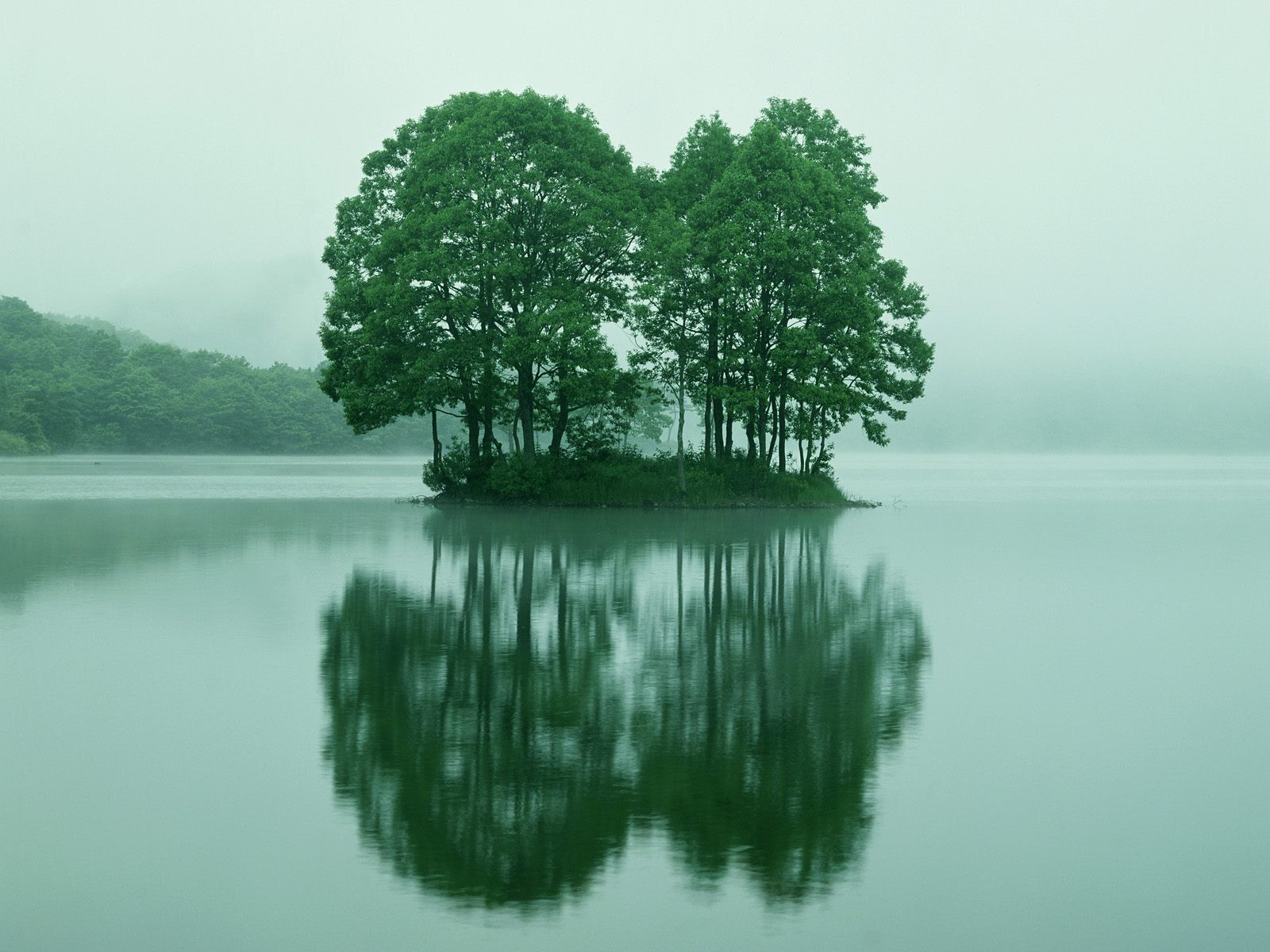 trees, Lake, Reflection, Nature, Landscapes, Water, Islands, Fog Wallpaper