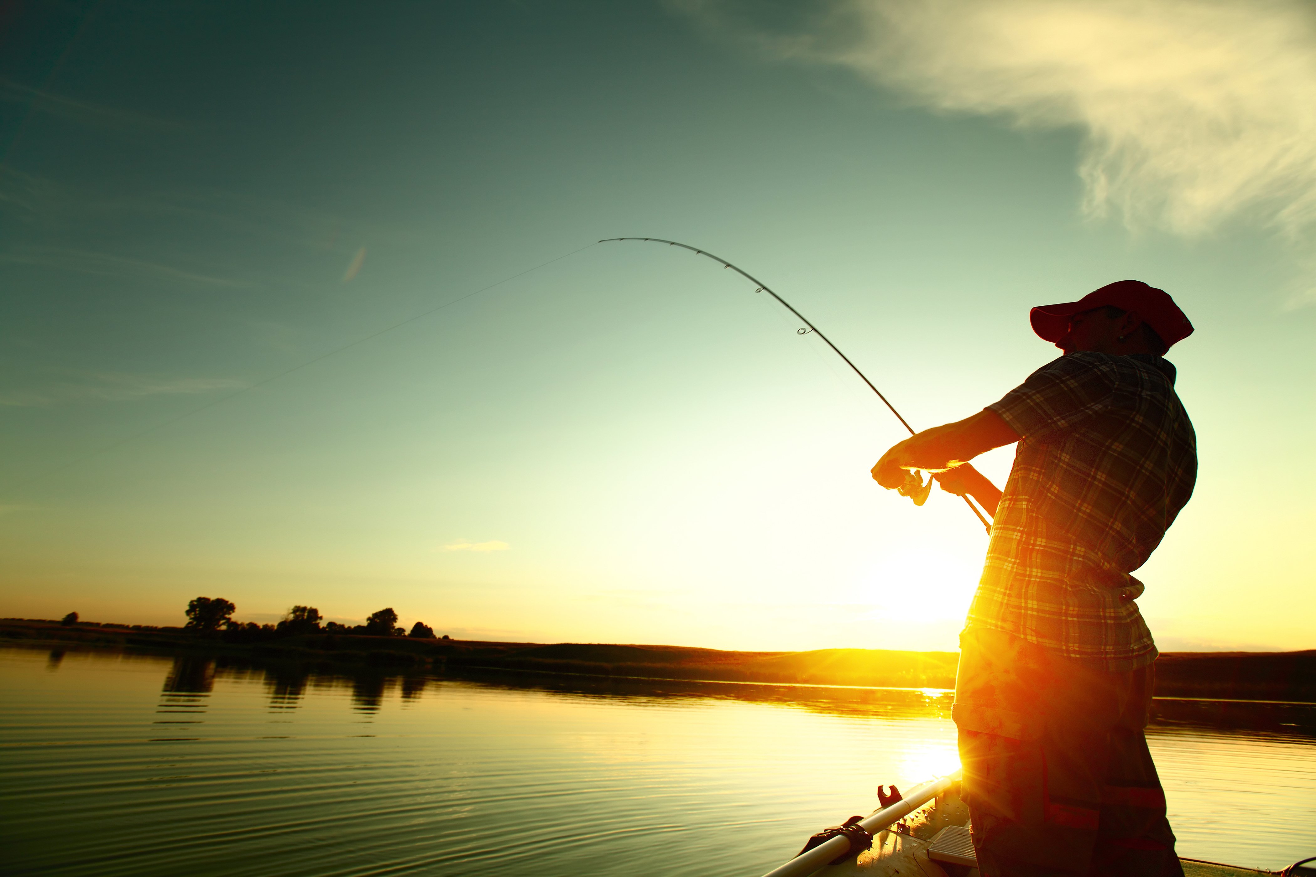 fishing, Fish, Sport, Water Wallpaper