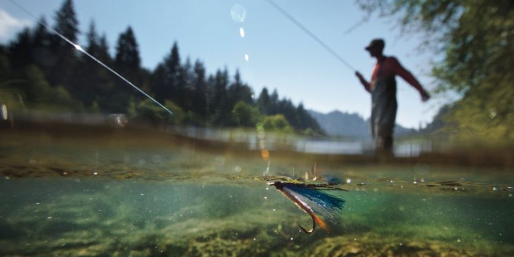 fishing, Fish, Sport, Water HD Wallpaper Desktop Background