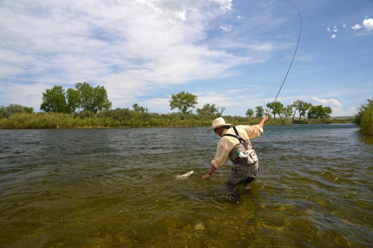 fishing, Fish, Sport, Water HD Wallpaper Desktop Background